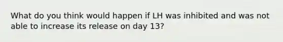 What do you think would happen if LH was inhibited and was not able to increase its release on day 13?