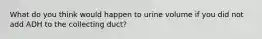 What do you think would happen to urine volume if you did not add ADH to the collecting duct?