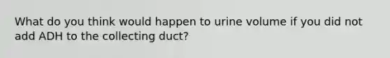 What do you think would happen to urine volume if you did not add ADH to the collecting duct?