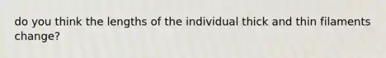 do you think the lengths of the individual thick and thin filaments change?