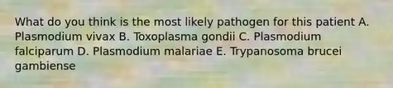 What do you think is the most likely pathogen for this patient A. Plasmodium vivax B. Toxoplasma gondii C. Plasmodium falciparum D. Plasmodium malariae E. Trypanosoma brucei gambiense