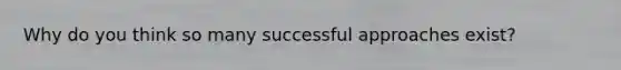 Why do you think so many successful approaches exist?