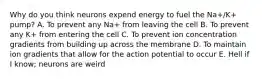 Why do you think neurons expend energy to fuel the Na+/K+ pump? A. To prevent any Na+ from leaving the cell B. To prevent any K+ from entering the cell C. To prevent ion concentration gradients from building up across the membrane D. To maintain ion gradients that allow for the action potential to occur E. Hell if I know; neurons are weird