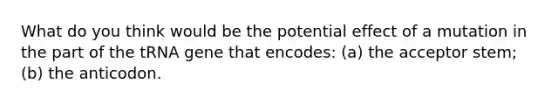 What do you think would be the potential effect of a mutation in the part of the tRNA gene that encodes: (a) the acceptor stem; (b) the anticodon.