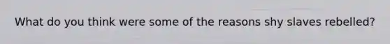 What do you think were some of the reasons shy slaves rebelled?