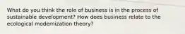 What do you think the role of business is in the process of sustainable development? How does business relate to the ecological modernization theory?