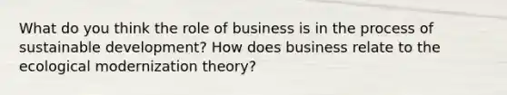 What do you think the role of business is in the process of sustainable development? How does business relate to the ecological modernization theory?