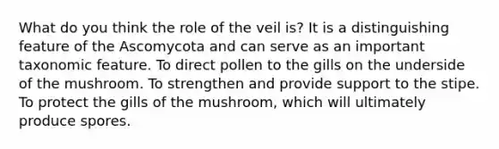 What do you think the role of the veil is? It is a distinguishing feature of the Ascomycota and can serve as an important taxonomic feature. To direct pollen to the gills on the underside of the mushroom. To strengthen and provide support to the stipe. To protect the gills of the mushroom, which will ultimately produce spores.