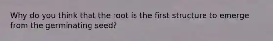 Why do you think that the root is the first structure to emerge from the germinating seed?