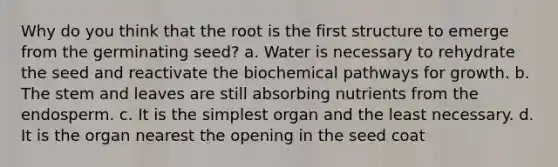 Why do you think that the root is the first structure to emerge from the germinating seed? a. Water is necessary to rehydrate the seed and reactivate the biochemical pathways for growth. b. The stem and leaves are still absorbing nutrients from the endosperm. c. It is the simplest organ and the least necessary. d. It is the organ nearest the opening in the seed coat