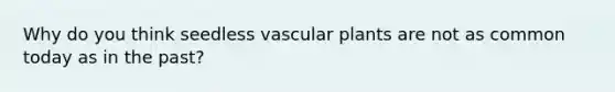 Why do you think seedless vascular plants are not as common today as in the past?