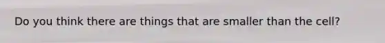 Do you think there are things that are smaller than the cell?