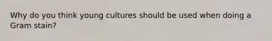 Why do you think young cultures should be used when doing a Gram stain?