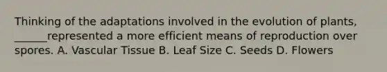 Thinking of the adaptations involved in the evolution of plants, ______represented a more efficient means of reproduction over spores. A. Vascular Tissue B. Leaf Size C. Seeds D. Flowers