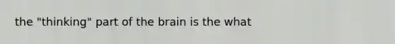 the "thinking" part of the brain is the what