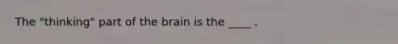 The "thinking" part of the brain is the ____ .