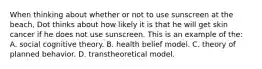 When thinking about whether or not to use sunscreen at the beach, Dot thinks about how likely it is that he will get skin cancer if he does not use sunscreen. This is an example of the: A. social cognitive theory. B. health belief model. C. theory of planned behavior. D. transtheoretical model.