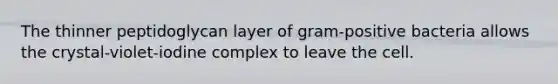 The thinner peptidoglycan layer of gram-positive bacteria allows the crystal-violet-iodine complex to leave the cell.