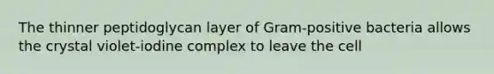 The thinner peptidoglycan layer of Gram-positive bacteria allows the crystal violet-iodine complex to leave the cell