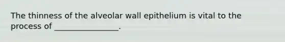 The thinness of the alveolar wall epithelium is vital to the process of ________________.