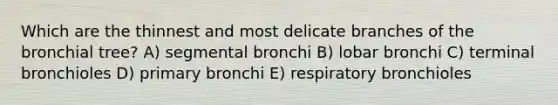 Which are the thinnest and most delicate branches of the bronchial tree? A) segmental bronchi B) lobar bronchi C) terminal bronchioles D) primary bronchi E) respiratory bronchioles