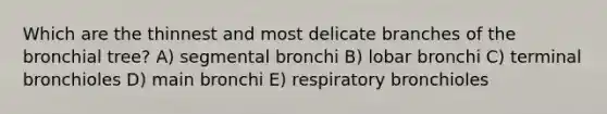 Which are the thinnest and most delicate branches of the bronchial tree? A) segmental bronchi B) lobar bronchi C) terminal bronchioles D) main bronchi E) respiratory bronchioles