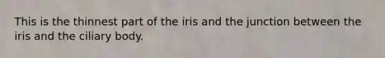 This is the thinnest part of the iris and the junction between the iris and the ciliary body.