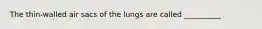 The thin-walled air sacs of the lungs are called __________