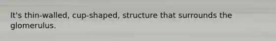 It's thin-walled, cup-shaped, structure that surrounds the glomerulus.
