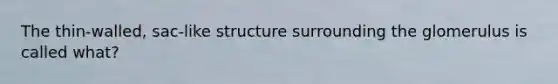 The thin-walled, sac-like structure surrounding the glomerulus is called what?