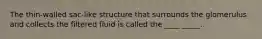 The thin-walled sac-like structure that surrounds the glomerulus and collects the filtered fluid is called the ____ _____.