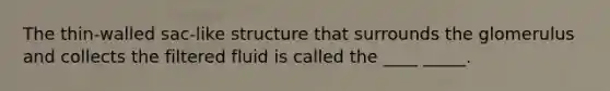 The thin-walled sac-like structure that surrounds the glomerulus and collects the filtered fluid is called the ____ _____.