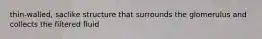 thin-walled, saclike structure that surrounds the glomerulus and collects the filtered fluid