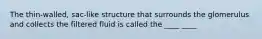 The thin-walled, sac-like structure that surrounds the glomerulus and collects the filtered fluid is called the ____ ____