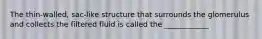 The thin-walled, sac-like structure that surrounds the glomerulus and collects the filtered fluid is called the ____________