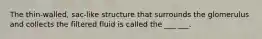 The thin-walled, sac-like structure that surrounds the glomerulus and collects the filtered fluid is called the ___ ___.