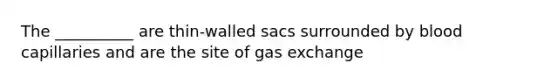 The __________ are thin-walled sacs surrounded by blood capillaries and are the site of gas exchange