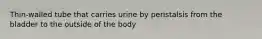 Thin-walled tube that carries urine by peristalsis from the bladder to the outside of the body