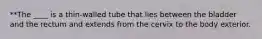 **The ____ is a thin-walled tube that lies between the bladder and the rectum and extends from the cervix to the body exterior.