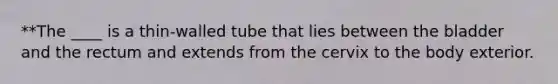 **The ____ is a thin-walled tube that lies between the bladder and the rectum and extends from the cervix to the body exterior.