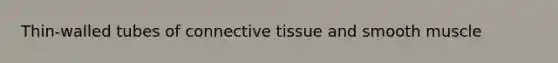 Thin-walled tubes of connective tissue and smooth muscle