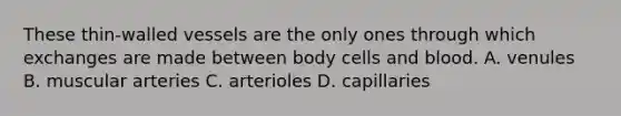 These thin-walled vessels are the only ones through which exchanges are made between body cells and blood. A. venules B. muscular arteries C. arterioles D. capillaries