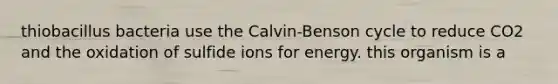 thiobacillus bacteria use the Calvin-Benson cycle to reduce CO2 and the oxidation of sulfide ions for energy. this organism is a