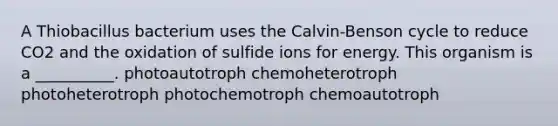 A Thiobacillus bacterium uses the Calvin-Benson cycle to reduce CO2 and the oxidation of sulfide ions for energy. This organism is a __________. photoautotroph chemoheterotroph photoheterotroph photochemotroph chemoautotroph