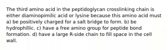 The third amino acid in the peptidoglycan crosslinking chain is either diaminopimilic acid or lysine because this amino acid must a) be positively charged for a salt bridge to form. b) be hydrophillic. c) have a free amino group for peptide bond formation. d) have a large R-side chain to fill space in the cell wall.