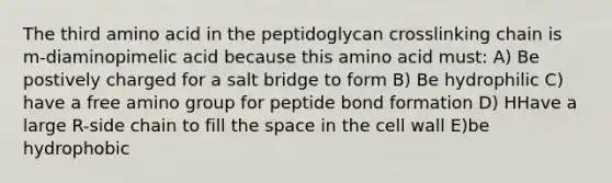 The third amino acid in the peptidoglycan crosslinking chain is m-diaminopimelic acid because this amino acid must: A) Be postively charged for a salt bridge to form B) Be hydrophilic C) have a free amino group for peptide bond formation D) HHave a large R-side chain to fill the space in the cell wall E)be hydrophobic