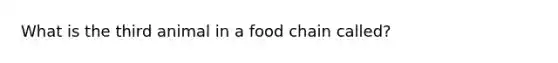 What is the third animal in a food chain called?