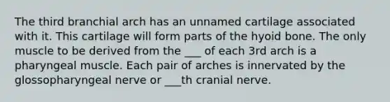 The third branchial arch has an unnamed cartilage associated with it. This cartilage will form parts of the hyoid bone. The only muscle to be derived from the ___ of each 3rd arch is a pharyngeal muscle. Each pair of arches is innervated by the glossopharyngeal nerve or ___th cranial nerve.