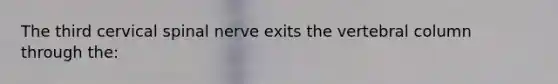 The third cervical spinal nerve exits the vertebral column through the: