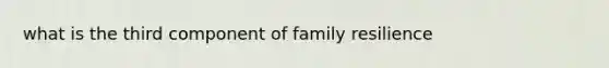 what is the third component of family resilience